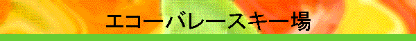 �G�R�[�o���[�X�L�[��