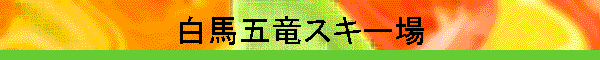���n�ܗ��X�L�[��
