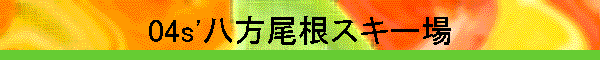 04s'���������X�L�[��