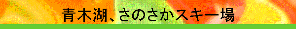 �،΁A���̂����X�L�[��